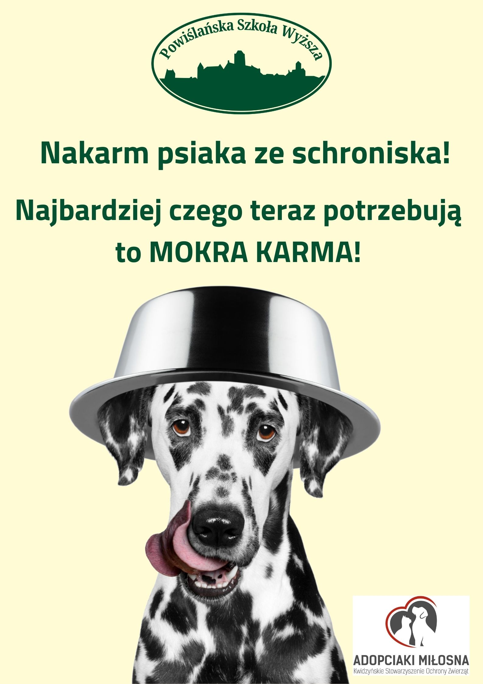 Adopciaki